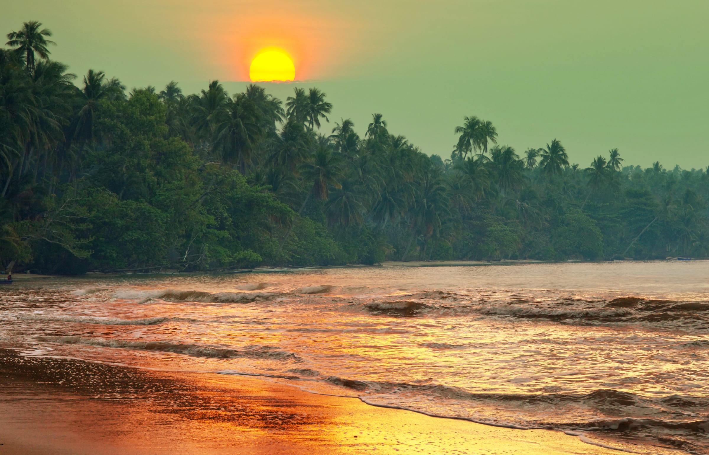 Tropical beach